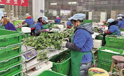 內地平價超市遭香港居民搶購，新鮮蔬菜零售何以成焦點？